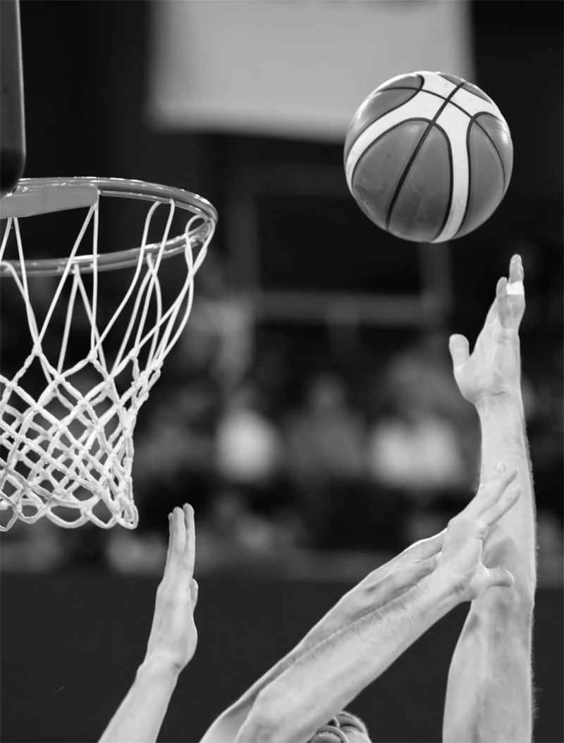 basketball photo